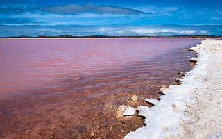 Mysterious pink lake in Australia | First learned about this “pink” on the island of Middle Lake in 1802. British hydrographer and navigator Matthew Flinders, stopping here on their way to Sydney.