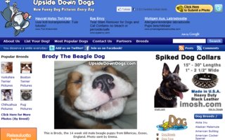 Koirista otettu kuvia ylösalaisin | Mustin posket vähä roikkuu