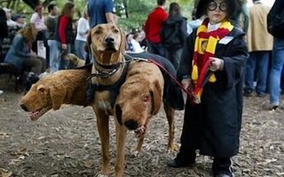 14 Unusual Halloween Costumes For Dogs | 14 Unusual Halloween Costumes For Dogs