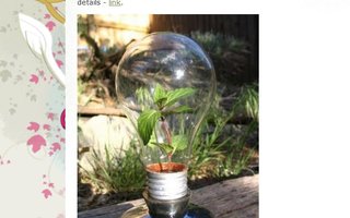 What You Can Do With Old Light Bulbs | So what do you do with your old light bulbs? Like most of us, just throw it off! But we are sure once you go through this post, you will definitely have a few options to choose from. Well what can be said, after all these are just too creative!