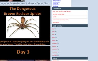 vaarallinen hämähäkin purema | vaarallinen Brown erakko hämähäkki ja hämähäkin purema