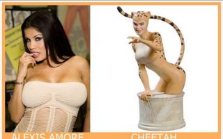 Adult Stars and Their Comic Twins | Adult stars and their look alikes among the comics babes. It&#039;s hard to find any similarities in some of these pictures, but it&#039;s still interesting to see all of them.