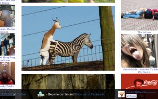 Very Naughty Animals | Nature takes care of the extension and preservation of species, but these pictures tell us that is natural and normal that bunny cheat his &quot;wife&quot; with chicken, dog with deer, elephant with a tree...