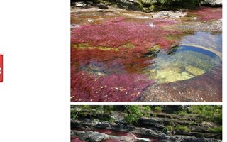 The most beautiful river on Earth | Caño Cristales is a Colombian river located in the Serrania de la Macarena, province of Meta. The river is commonly called The River of Five Colors