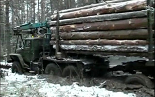 Näin venäjällä tuodaan puut metsästä