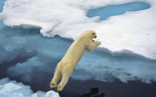 Jääkarhuja | jos jonninmoista