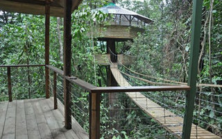 House on the tree in Costa Rica | Perhaps you remember from childhood or even from a movie as it is wonderful to have a treehouse? But whether they exist in reality? Live in the houses high up on trees?