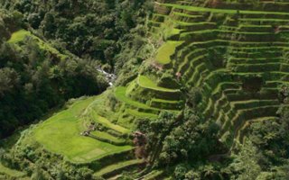 Eighth Wonder of the World | The Banaue Rice Terraces are 2000-year old terraces that were carved into the mountains of Ifugao in the Philippines by ancestors of the indigenous people. 