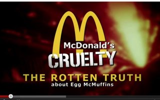 Tämä video järkytti Mc-Donald'sin | Yhdysvalloissa McDonald&#039;s on katkaissut yhteistyönsä ravintolaketjulle munia tuottaneen yrityksen kanssa kanafarmeilla kuvatun järkyttävän videomateriaalin takia.