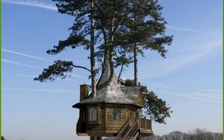 Childhood Dream Coming True - Tree Houses | A tree house is a place where every child likes to go when it wants to spend some time on his/her own, to do what it likes, take a rest from its parents, etc.
