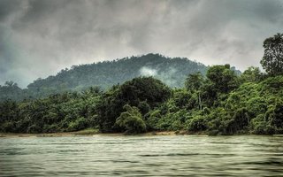 Taman Negara: Oldest Rainforest on the Planet | In the middle of the Malaysian peninsula lies a rainforest so old it makes the entire Amazon jungle seem like new growth. Taman Negara, literally ‘national park’ in Malay, has lain virtually undisturbed for 130 million years. Located as it is in the centr