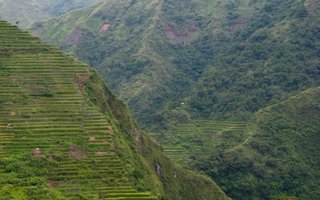 Filippiinit - Portaat ja Heavens | Kulkuväylät ovat ruokitaan luonnollinen kastelu järjestelmä sademetsien korkealla vuoristossa, ja paikalliset vielä viljellä niitä omassa vanhanaikaista tavalla.