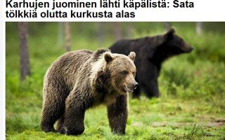 Karhujen juominen lähti käpälistä | Karhuperhe murtautui lomamökkiin Norjassa ja joi yli sata tölkkiä olutta. 