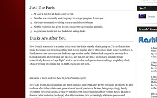 Duck-sex reality | Vastaus Jylppy-galleriassa olleeseen sorsa neuvoo-kuvasarjaan. Näiden elukoiden neuvojako sitten kannattaa kuunnella, arvon neidot?