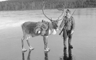 Finland in World War II | The Atlantic-lehden SA-kuvakokoelma.