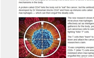 Kaikkiin syöpiin löydetty parannus | ihmistestit alkaa 2014