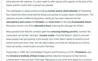 Cannabis poistaa säteilyvaaran | Kaikella on tarkoituksensa.