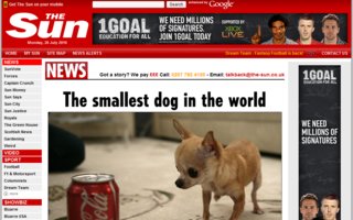 Maailman pienin koira | Tsihauhauh!