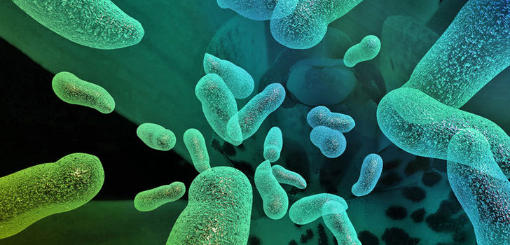 Tällaista elämää ei pitänyt olla olemassakaan - Sähköä syövät bakteerit laittavat oppikirjat uusiksi | University of Southern Californian biologin Kenneth Nealsonin laboratoriossa tutkitaan elämää, jota ei biologian oppikirjojen perusteella pitäisi olla edes olemassa.