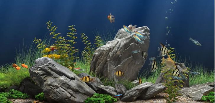 4K Dream Aquarium • Soothing Ripple • Underwater Sound • 4K UHD TV Aquarium Screensaver | Hieno 4K Akvaario Vaikka Screensaveriksi